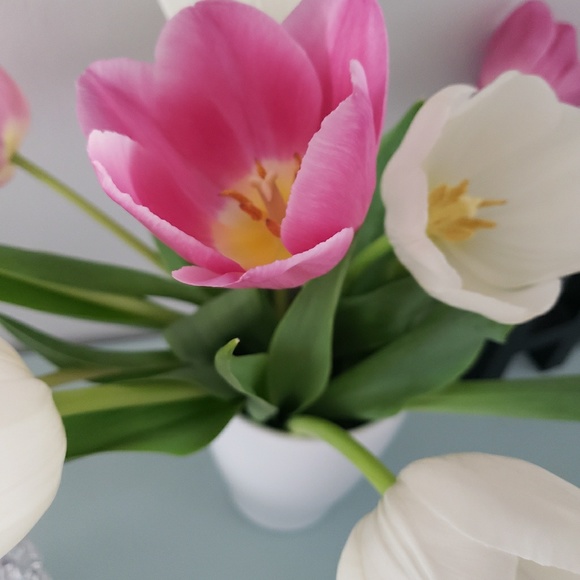 Meet your Posher, Cecile - Picture 1 of 1